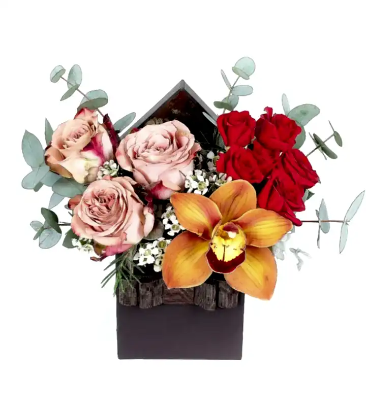 Capucino Gül, Cybidium Orkide ve Çardak Güler