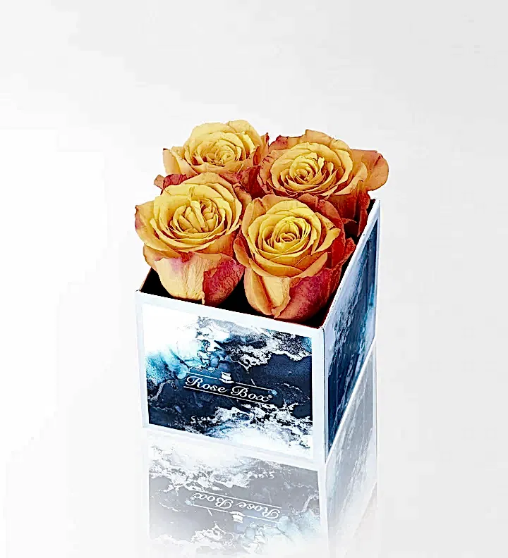 Sea Blue Mini Kutuda 4 Turuncu Gül