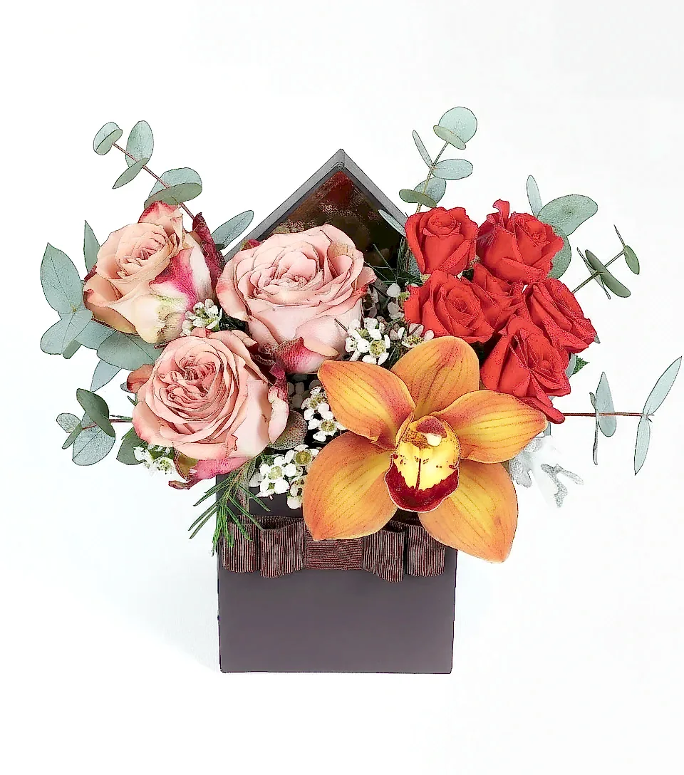 Capucino Gül, Cybidium Orkide ve Çardak Güler