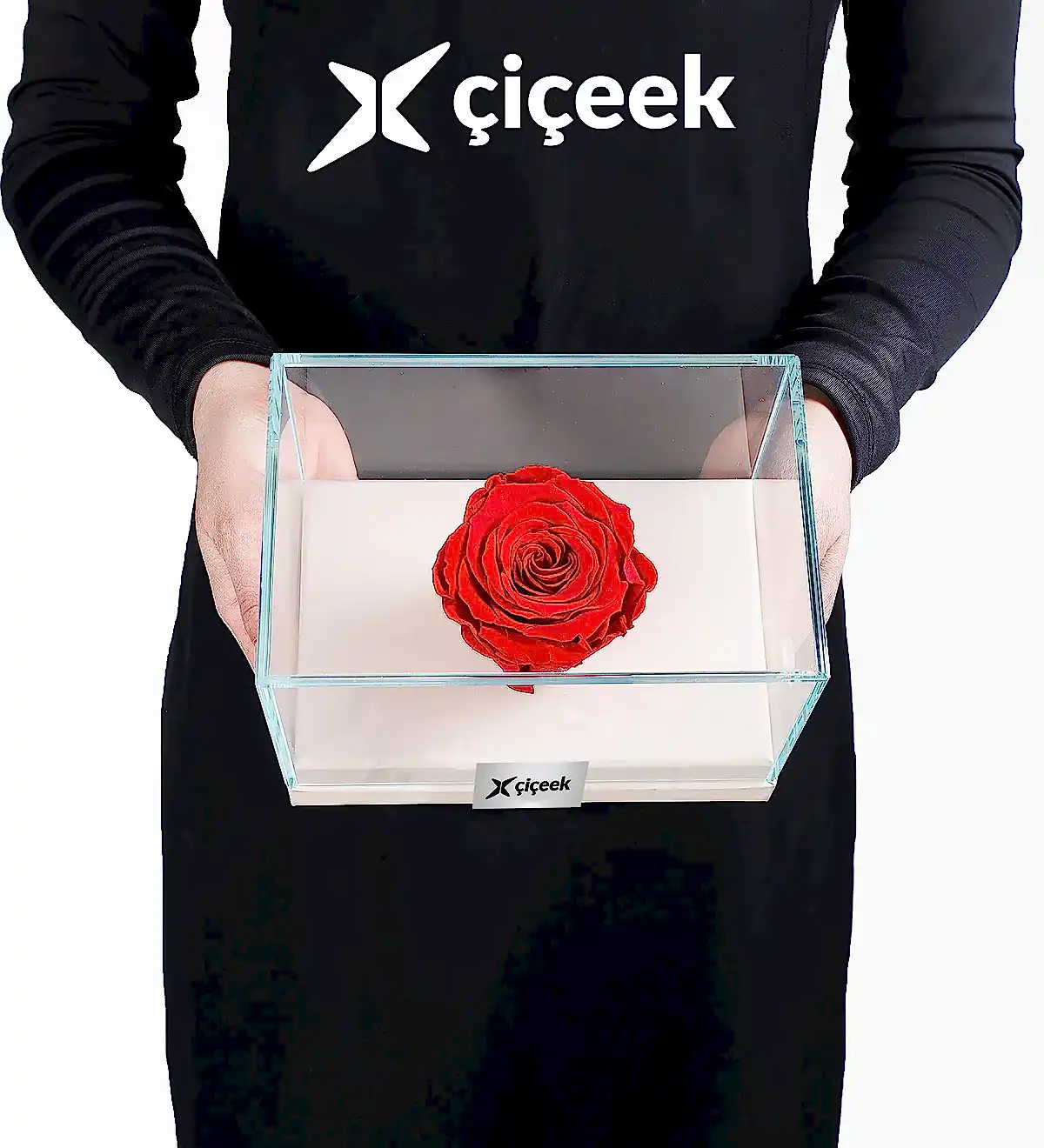 Bej Kutuda Solmayan Gül - 1
