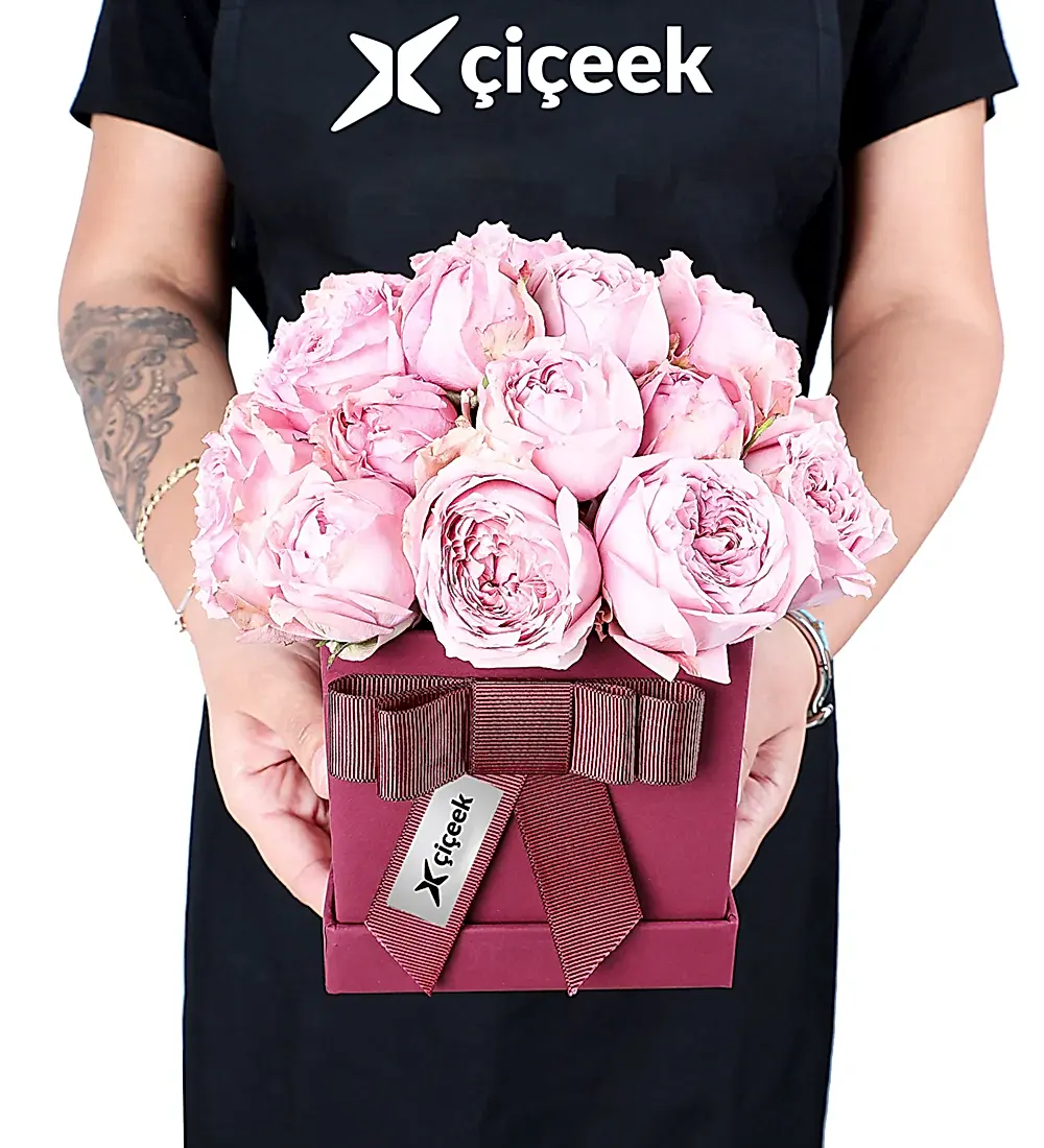 Bordo Kutuda Çardak Pembe Şakayık Güller