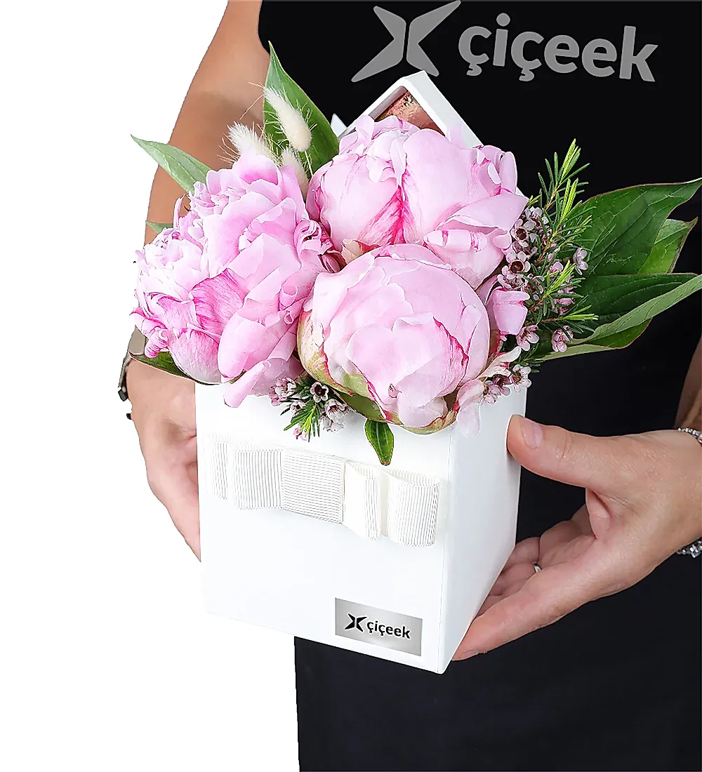 Krem Kutuda Pembe Şakayık Ve Wax Çiçeği