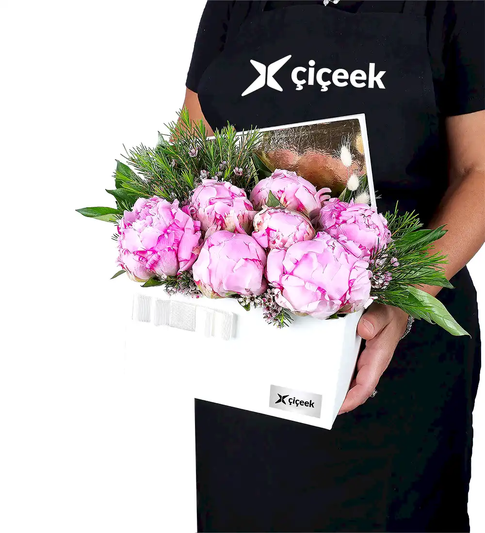 Krem Kutuda Pembe Şakayık Ve Wax Çiçeği Xl