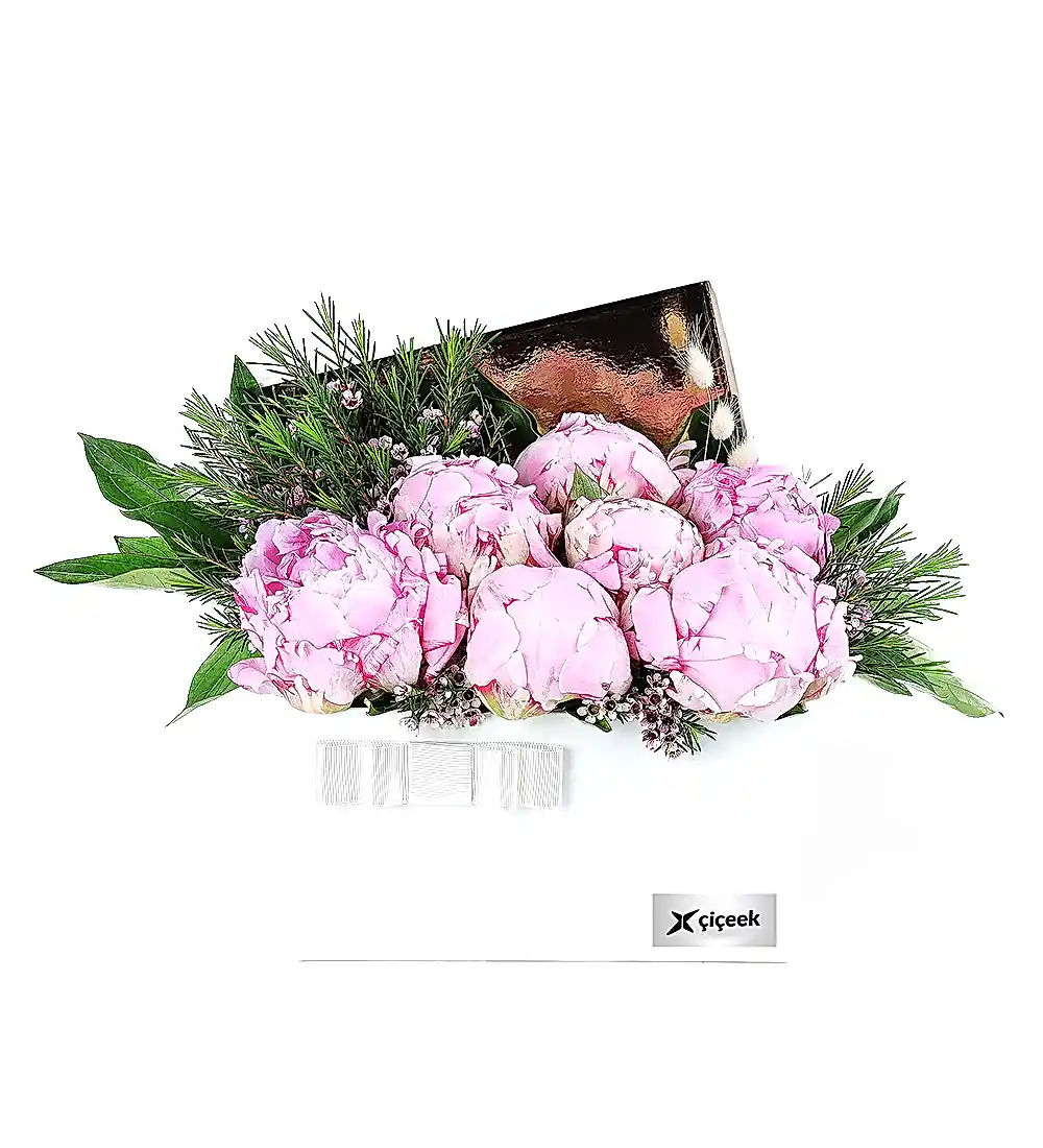 Krem Kutuda Pembe Şakayık Ve Wax Çiçeği Xl