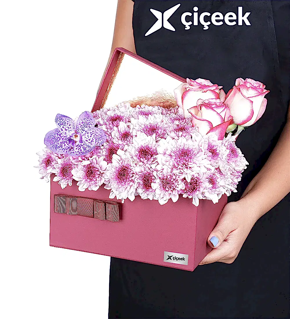 Pembe Papatya Ve Vanda Mor Orkide XL