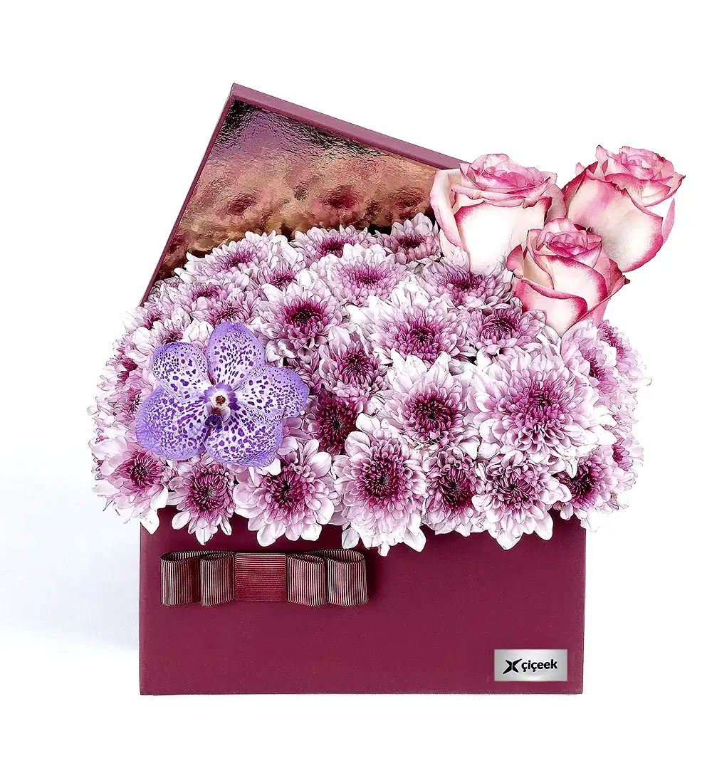 Pembe Papatya Ve Vanda Mor Orkide XL