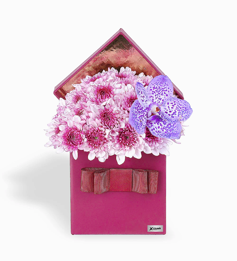 Pembe Papatya ve Vanda Mor Orkide